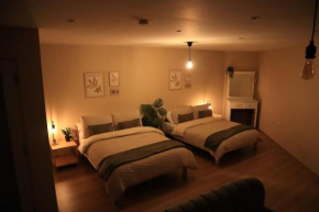 Modern Apartment in Cashel